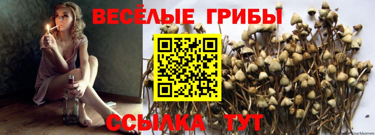 Псилоцибиновые грибы GOLDEN TEACHER  Вход с VPN  Белово 